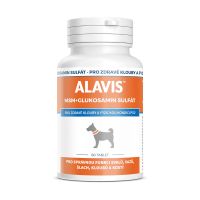 ALAVIS MSM + glukosamin sulfát 60tbl