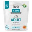 BRIT Care Grain-free Adult Salmon & Potato (1kg)