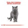 Royal Canin British Shorthair Adult granule pro britské krátkosrsté kočky 2kg