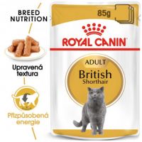 Royal Canin British Shorthair Gravy kapsička pro britské krátkosrsté kočky ve šťávě 12x