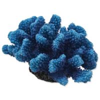 Dekorace AQUA EXCELLENT mořský korál modrý (1ks)