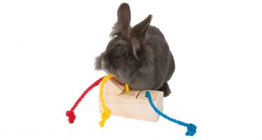 Hra pro králíky - dřevěná kostka na pamlsky 16x6x7 cm