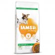 IAMS Dog Adult Small & Medium Lamb (12kg)