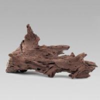 Kořen Driftwood XL 45 - 60 cm