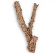 Korková dubová větev 50 cm
