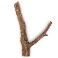 Korková dubová větev 30 cm