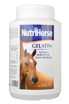 Nutri HORSE Gelatin 1kg