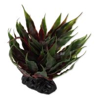 Rostlina REPTI PLANET sukulent Agave zelená 18 cm ()