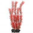 Rostlina TETRA Foxtail Red L (1ks)