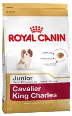Royal Canin KAVALÍR KING CHARLES Junior 500 g